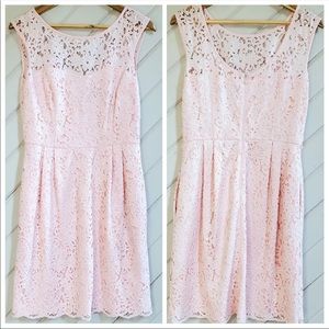Pink lace  White House black market dress size 6